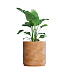 Кашпо CONCRETIKA CYLINDER XL CLASSIC CLAY D80H85 заказать и купить с доставкой из магазина производителя Конкретика по цене 66 400 руб.