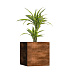 Кашпо CONCRETIKA CUBE CAYMAN BROWN 80x80x80 заказать и купить с доставкой из магазина производителя Конкретика по цене 82 890 руб.