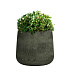 Кашпо CONCRETIKA CONE CAYMAN GREEN D32H36 заказать и купить с доставкой из магазина производителя Конкретика по цене 11 730 руб.