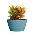 Кашпо CONCRETIKA BOWL EROSIA BLUE D80H45 заказать и купить с доставкой из магазина производителя Конкретика по цене 33 150 руб.