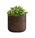 Кашпо CONCRETIKA TOPPER COFFEE D40H40 заказать и купить с доставкой из магазина производителя Конкретика по цене 14 030 руб.