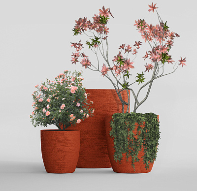 Кашпо CONCRETIKA VASE 3 EROSIA CORAL D50H55 заказать и купить Кашпо CONCRETIKA VASE 3 EROSIA CORAL D50H55 заказать и купить по цене 22 950 руб ниже рынка от производителя с доставкой.