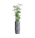 Кашпо CONCRETIKA CIGAR CONCRETE GREY LIGHT D27H70 заказать и купить с доставкой из магазина производителя Конкретика по цене 18 630 руб.