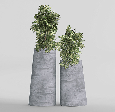 Кашпо CONCRETIKA DUET CONCRETE GREY LIGHT D41H82 заказать и купить Кашпо CONCRETIKA DUET CONCRETE GREY LIGHT D41H82 заказать и купить по цене 34 600 руб ниже рынка от производителя с доставкой.