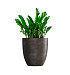 Кашпо CONCRETIKA VASE 3 TAUPE CONCRETE D60H65 заказать и купить с доставкой из магазина производителя Конкретика по цене 40 880 руб.