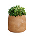 Кашпо CONCRETIKA CONE CLASSIC CLAY D32H36 заказать и купить с доставкой из магазина производителя Конкретика по цене 11 500 руб.