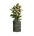 Кашпо CONCRETIKA CYLINDER CAYMAN GREEN D50H65 заказать и купить с доставкой из магазина производителя Конкретика по цене 31 890 руб.