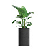 Кашпо CONCRETIKA CYLINDER EROSIA BLACK D60H90 заказать и купить с доставкой из магазина производителя Конкретика по цене 60 570 руб.