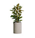 Кашпо CONCRETIKA CYLINDER EROSIA YELLOW D50H65 заказать и купить с доставкой из магазина производителя Конкретика по цене 31 890 руб.