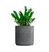 Кашпо CONCRETIKA CYLINDER XL SMOKEY BLUE D70H80 заказать и купить с доставкой из магазина производителя Конкретика по цене 55 890 руб.
