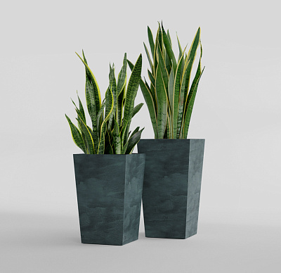 Кашпо CONCRETIKA CONIC OCEAN GREEN 40x40x70 заказать и купить Кашпо CONCRETIKA CONIC OCEAN GREEN 40x40x70 заказать и купить по цене 29 280 руб ниже рынка от производителя с доставкой.