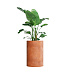 Кашпо CONCRETIKA CYLINDER RED CLAY D60H90 заказать и купить с доставкой из магазина производителя Конкретика по цене 59 510 руб.
