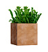 Кашпо CONCRETIKA CUBE CLASSIC CLAY 60x60x60 заказать и купить с доставкой из магазина производителя Конкретика по цене 36 490 руб.