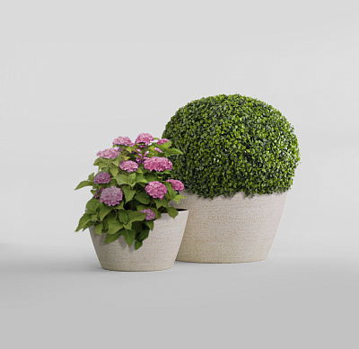 Кашпо CONCRETIKA BOWL EROSIA YELLOW D80H45 заказать и купить Кашпо CONCRETIKA BOWL EROSIA YELLOW D80H45 заказать и купить по цене 33 150 руб ниже рынка от производителя с доставкой.
