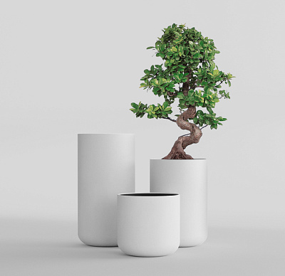 Кашпо CONCRETIKA TOPPER SANTORINI D40H60 заказать и купить Кашпо CONCRETIKA TOPPER SANTORINI D40H60 заказать и купить по цене 17 740 руб ниже рынка от производителя с доставкой.