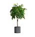 Кашпо CONCRETIKA CYLINDER SMOKEY BLUE D45H45 заказать и купить с доставкой из магазина производителя Конкретика по цене 21 290 руб.