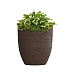 Кашпо CONCRETIKA VASE 3 EROSIA BROWN D40H45 заказать и купить с доставкой из магазина производителя Конкретика по цене 15 300 руб.