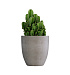 Кашпо CONCRETIKA VASE 3 CONCRETE WHITE D50H55 заказать и купить с доставкой из магазина производителя Конкретика по цене 23 950 руб.