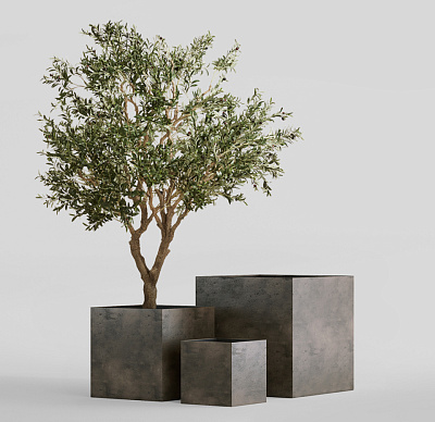 Кашпо CONCRETIKA CUBE BREZENT GREY 50x50x50 заказать и купить Кашпо CONCRETIKA CUBE BREZENT GREY 50x50x50 заказать и купить по цене 27 050 руб ниже рынка от производителя с доставкой.