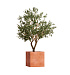 Кашпо CONCRETIKA CUBE RED CLAY 50x50x50 заказать и купить с доставкой из магазина производителя Конкретика по цене 25 450 руб.