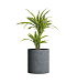 Кашпо CONCRETIKA CYLINDER EROSIA GREY D60H65 заказать и купить с доставкой из магазина производителя Конкретика по цене 35 700 руб.