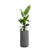 Кашпо CONCRETIKA TOPPER LONDON GREY D40H90 заказать и купить с доставкой из магазина производителя Конкретика по цене 26 610 руб.