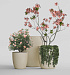 Кашпо CONCRETIKA VASE 3 SAHARA D90H95 заказать и купить с доставкой из магазина производителя Конкретика по цене 77 840 руб.