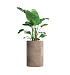Кашпо CONCRETIKA CYLINDER SMOKEY GREY D60H90 заказать и купить с доставкой из магазина производителя Конкретика по цене 63 200 руб.