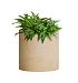 Кашпо CONCRETIKA CYLINDER LEMON D25H25 заказать и купить с доставкой из магазина производителя Конкретика по цене 6 270 руб.