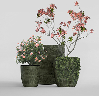 Кашпо CONCRETIKA VASE 3 CAYMAN GREEN D60H65 заказать и купить Кашпо CONCRETIKA VASE 3 CAYMAN GREEN D60H65 заказать и купить по цене 39 180 руб ниже рынка от производителя с доставкой.