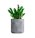 Кашпо CONCRETIKA CYLINDER XL CONCRETE GREY LIGHT D70H80 заказать и купить с доставкой из магазина производителя Конкретика по цене 55 890 руб.