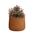 Кашпо CONCRETIKA CONE EROSIA OCHRE D24H26 заказать и купить с доставкой из магазина производителя Конкретика по цене 6 380 руб.