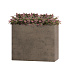 Кашпо CONCRETIKA DIVIDER SMOKEY GREY 60x30x50 заказать и купить с доставкой из магазина производителя Конкретика по цене 29 280 руб.