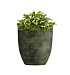 Кашпо CONCRETIKA VASE 3 CAYMAN GREEN D40H45 заказать и купить с доставкой из магазина производителя Конкретика по цене 15 300 руб.