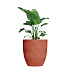Кашпо CONCRETIKA VASE 3 CANDY D90H95 заказать и купить с доставкой из магазина производителя Конкретика по цене 87 960 руб.