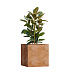 Кашпо CONCRETIKA CUBE CLASSIC CLAY 70x70x70 заказать и купить с доставкой из магазина производителя Конкретика по цене 61 890 руб.