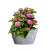 Кашпо CONCRETIKA BOWL CONCRETE GREY LIGHT D52H29 заказать и купить с доставкой из магазина производителя Конкретика по цене 13 310 руб.