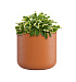 Кашпо CONCRETIKA TOPPER CARROT D40H40 заказать и купить с доставкой из магазина производителя Конкретика по цене 12 420 руб.