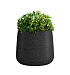 Кашпо CONCRETIKA CONE EROSIA BLACK D32H36 заказать и купить с доставкой из магазина производителя Конкретика по цене 11 730 руб.
