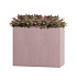 Кашпо CONCRETIKA DIVIDER COCOA 60x30x50 заказать и купить с доставкой из магазина производителя Конкретика по цене 24 390 руб.