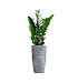 Кашпо CONCRETIKA CONUS CONCRETE GREY LIGHT D30H55 заказать и купить с доставкой из магазина производителя Конкретика по цене 13 310 руб.