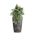 Кашпо CONCRETIKA CONUS CONCRETE GREY DARK D39H60 заказать и купить с доставкой из магазина производителя Конкретика по цене 19 960 руб.