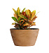 Кашпо CONCRETIKA BOWL CLASSIC CLAY D80H45 заказать и купить с доставкой из магазина производителя Конкретика по цене 32 570 руб.