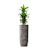 Кашпо CONCRETIKA YAR CONCRETE GREY DARK D46H110 заказать и купить с доставкой из магазина производителя Конкретика по цене 45 240 руб.