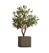 Кашпо CONCRETIKA CUBE OLIVE 50x50x50 заказать и купить с доставкой из магазина производителя Конкретика по цене 22 530 руб.