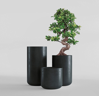 Кашпо CONCRETIKA TOPPER ANTHRACITE D40H90 заказать и купить Кашпо CONCRETIKA TOPPER ANTHRACITE D40H90 заказать и купить по цене 31 930 руб ниже рынка от производителя с доставкой.