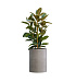 Кашпо CONCRETIKA CYLINDER CONCRETE WHITE D50H65 заказать и купить с доставкой из магазина производителя Конкретика по цене 33 260 руб.