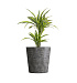 Кашпо CONCRETIKA CRATER CONCRETE GREY DARK D50H75 заказать и купить с доставкой из магазина производителя Конкретика по цене 30 600 руб.
