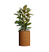 Кашпо CONCRETIKA CYLINDER EROSIA OCHRE D50H65 заказать и купить с доставкой из магазина производителя Конкретика по цене 31 890 руб.