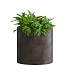 Кашпо CONCRETIKA CYLINDER TAUPE CONCRETE D25H25 заказать и купить с доставкой из магазина производителя Конкретика по цене 6 650 руб.